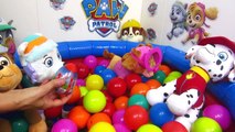 Huevos Sorpresa Patrulla Canina en español con juguetes sorpresa de Patrulla Canina Paw Patrol