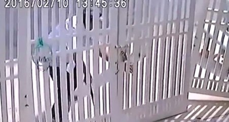 Açmaya Çalıştığı Demir Kapı, Hırsızın Üzerine Devrilip Ayağını Kırdı!