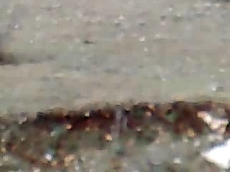 Interesno vozenje