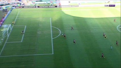 1-0  	Deyverson Goal Brazil  Série A - 12.11.2017 Palmeiras 1-0 CR Flamengo