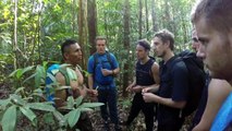 Amazon Jungle Camping Adventure on the Urubu River