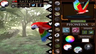 Ultimate Jungle Simulator - Macaw Parrot : Raise a Family - Android/iOS - Gameplay Episode 11