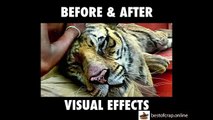 Famous Movie Scenes Before And After Visual Effects - Really Cool...