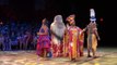 Disneys Festival of the Lion King FULL SHOW Animal Kingdom Disney World HD new (Pandavision)