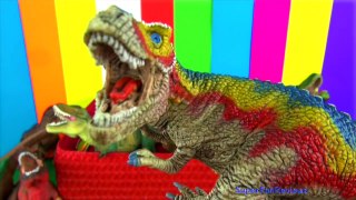 Tyrannosaurus Toy Collection Dinosaur Box - Learn about T rex in English