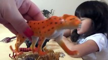 My Animal Toy Collection in the Box Part 2 Schleich Safari Wildlife ZOO Farm Animals Toys