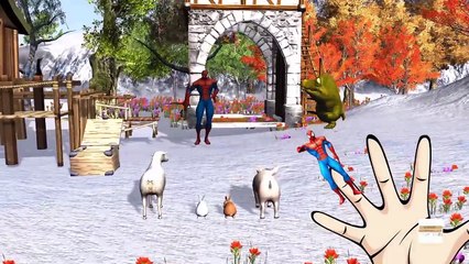 Colors Spiderman finger Family collection 3d Animation - Spiderman dinosaurs Finger family rhymes