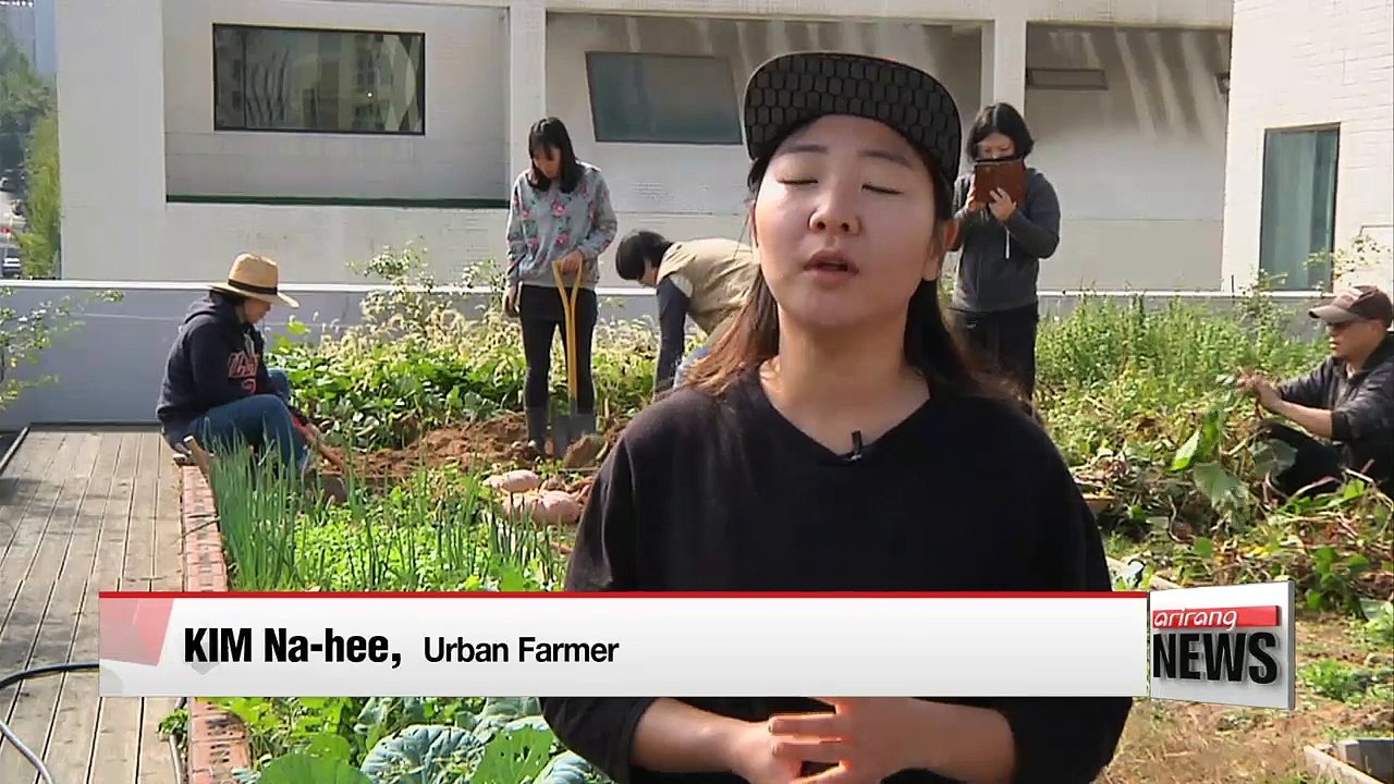 Cultivating Hope ? Urban Farmers