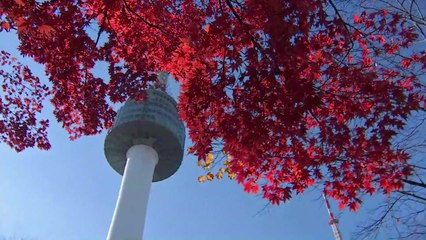 [날씨] 내일 전국 맑지만 아침 추위, 공기는 깨끗 / YTN