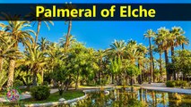Top Tourist Attractions Places To Visit In Spain | Palmeral of Elche Destination Spot - Tourism in Spain