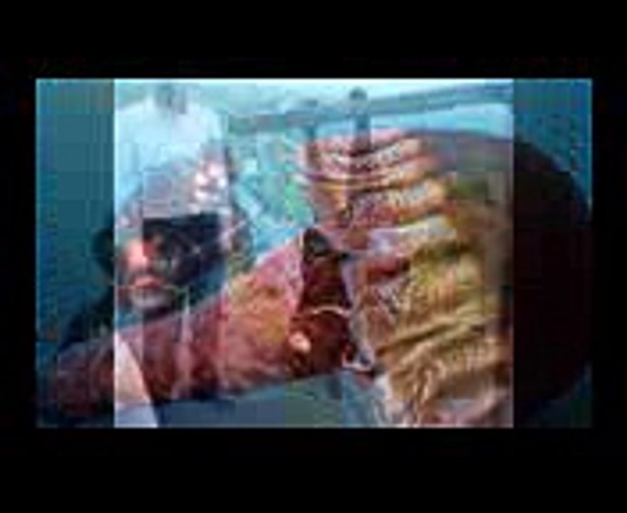 世界のUMA映像「映っちゃった映像GP 2時間半SP」2016年10月1日