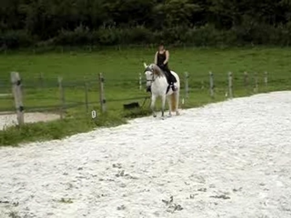Reprise Equitation