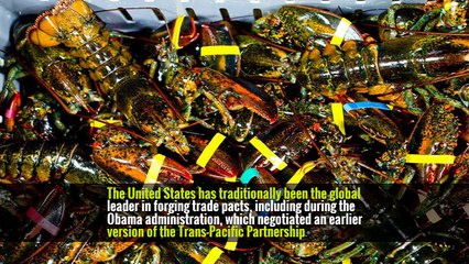 Trump’s Trade Policy Is Lifting Exports. Of Canadian Lobster.
