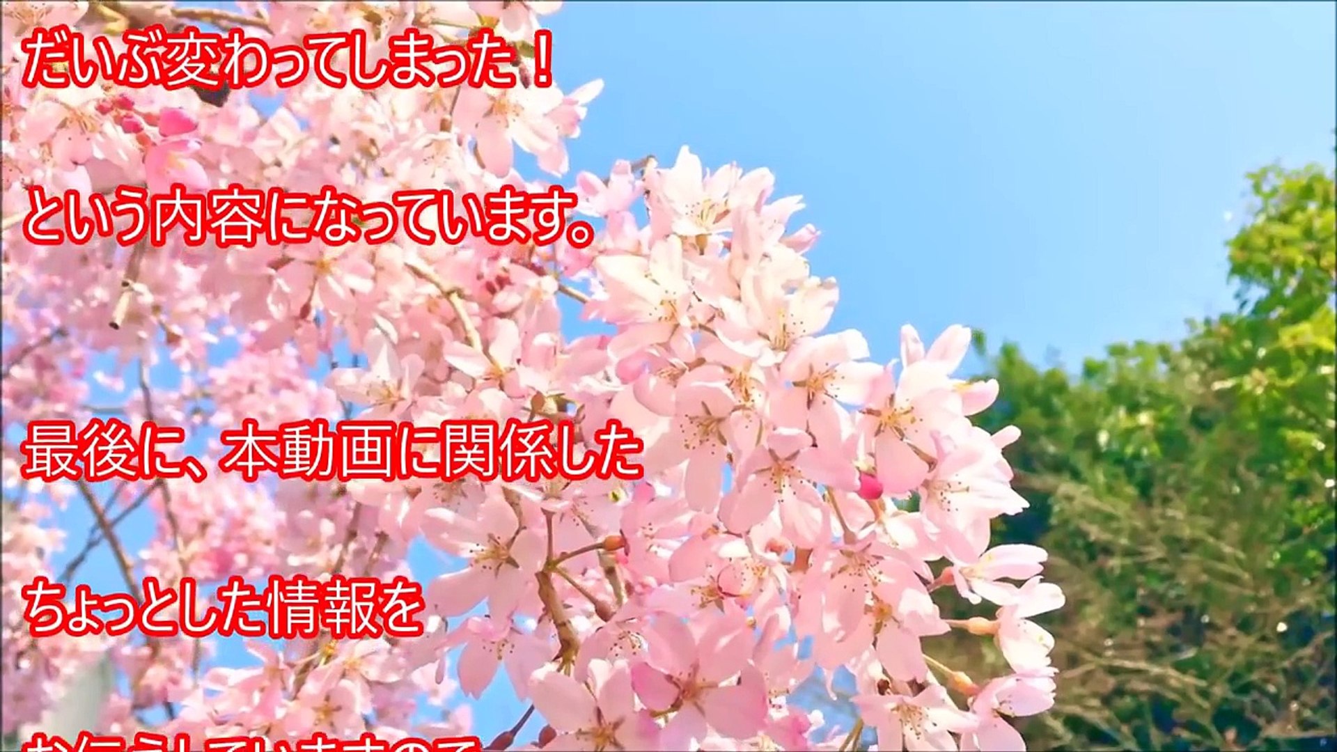 小保方晴子の現在と Stap細胞あります時代 の姿が違いすぎてビックリ 整形 ってくらいヤバイ Video Dailymotion