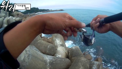 [워러]의 루어낚시2017 09 05강원도 양양 광어 꼭 잡고 싶었어요