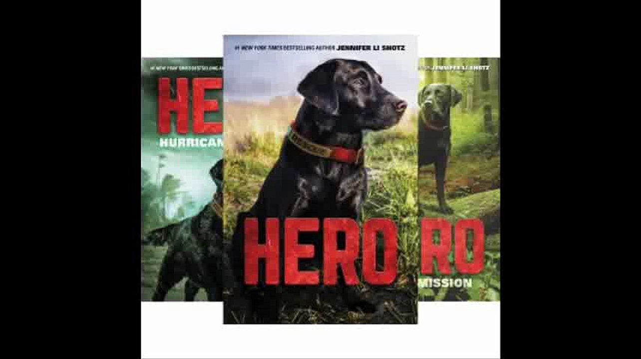 Hero (3 Book Series)