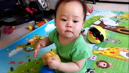 Day277 - Wilson Baby WALKING With Mama, New Tooth TEETHING PAIN & more..