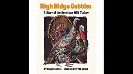 High Ridge Gobbler A Story of the American Wild Turkey