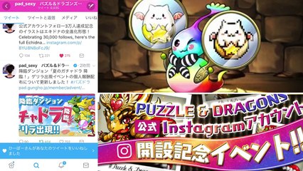 パズドラ　最新情報　ドットエキドナ　ガチャドラ報酬について　祝Instagram３万人　ドット　エキドナ　可愛い・・