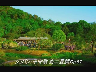 静かなクラシック名曲メドレー 【作業用】