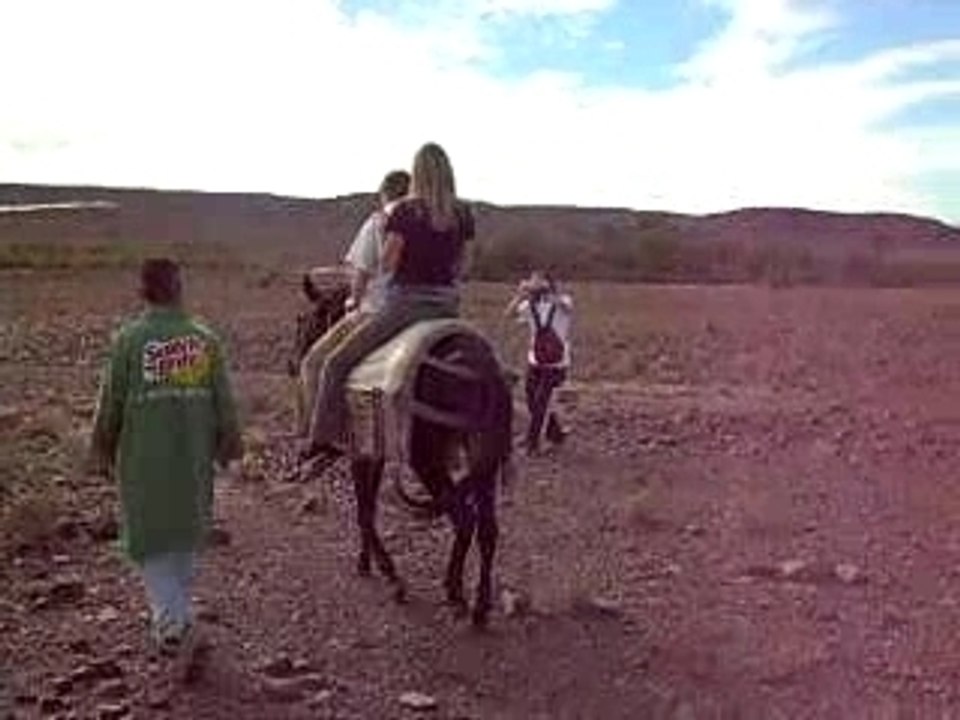 randonnée  mule zaouit sidi ahemd maroc
