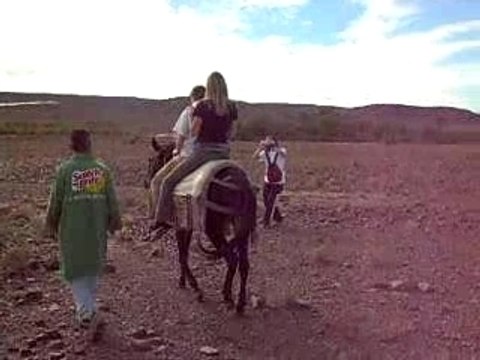 randonnée mule zaouit sidi ahemd maroc