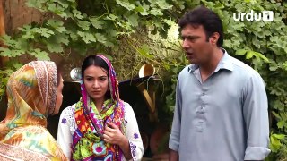 BAAGHI - Episode 13 - Urdu1
