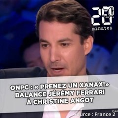«ONPC»: «Prenez un Xanax!», balance Jérémy Ferrari à Christine Angot