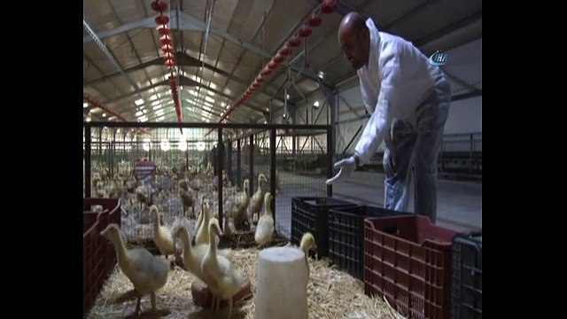 Cumhurbaşkanı Erdoğan'ın çağrısıyla yatırımı Almanya yerine Elazığ'a yaptı