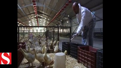 Cumhurbaşkanı Erdoğan'ın çağrısıyla yatırımı Almanya yerine Elazığ'a yaptı