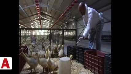 Cumhurbaşkanı Erdoğan'ın çağrısıyla yatırımı Almanya yerine Elazığ'a yaptı