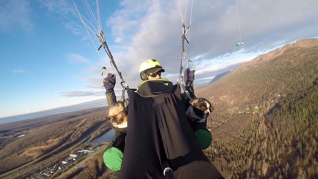 Un homme fait du parapente avec ses deux chiens