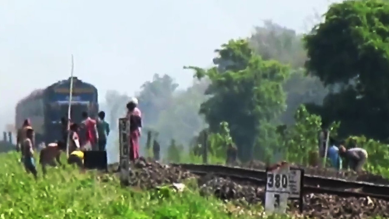 Train Vs Vache