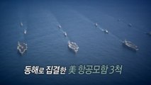 [영상] 동해로 집결한 美 항모 3척, 고강도 연합훈련 실시 / YTN