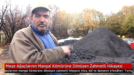 Meşe Ağaçlarının Mangal Kömürüne Dönüşen Zahmetli Hikayesi