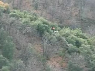 Chasse - Battue au sanglier dans les cevennes_PocketPC