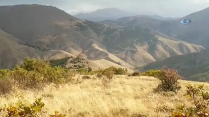 Bitlis'te Patlama: 1 Asker Yaralı