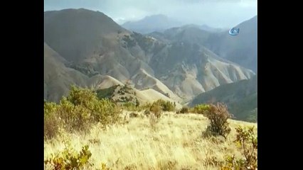 Bitlis’te patlama: 1 asker yaralı