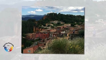 ಗೊತ್ತಿಲದೆ 2 ವರ್ಷ ಪಿಶಾಚಿ ಜೊತೆ ಸಂಸಾರ ಮಾಡಿ ಮಗು ಕೂಡ ಮಾಡಿಕೊಂಡ... ಶಾಕಿಂಗ್ ನ್ಯೂಸ್.. Kannada News