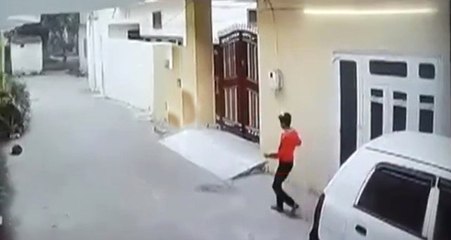 11 Yaşındaki Çocuk Köpeklerden Kaçarken Kalp Krizi Geçirdi