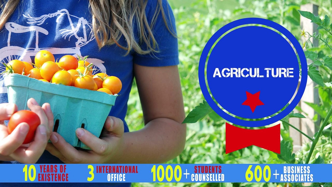 An ISO 9001 - 2008 Certified Educational and Management  Consultancy | Bright Educational Services