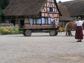 Ecomusée d'Alsace (27)