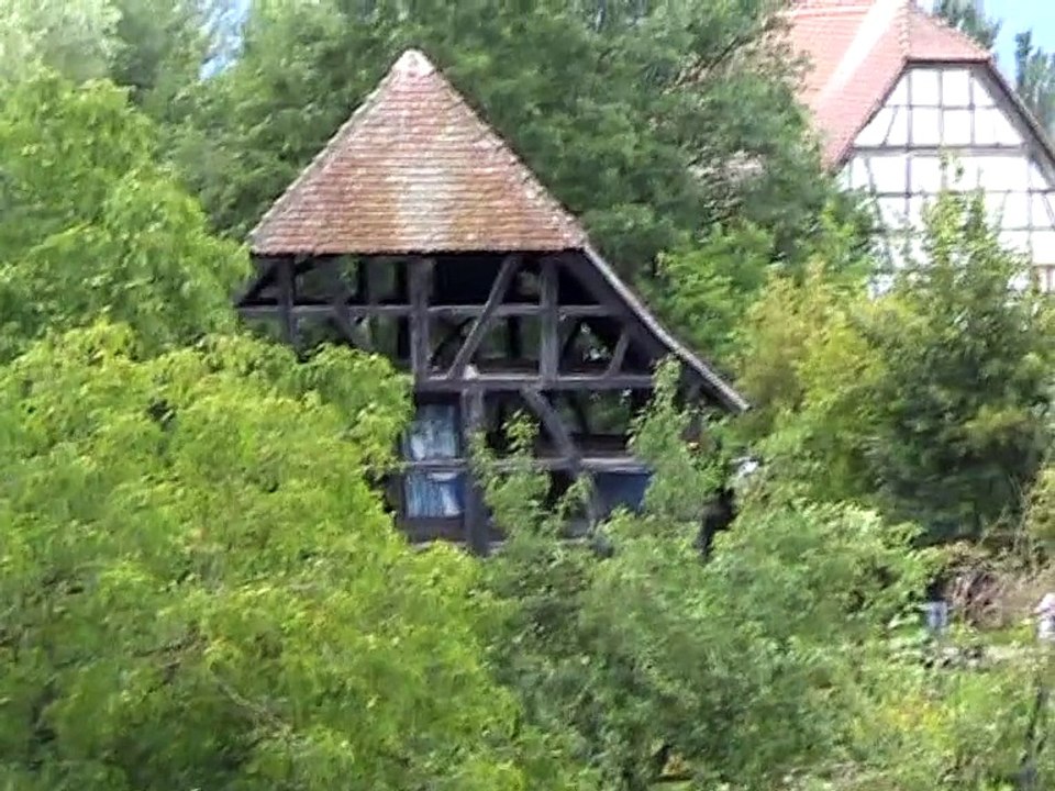 Ecomusée d'Alsace (41)