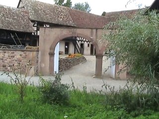 Ecomusée d'Alsace (43)