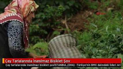 Çay Tarlalarında İnanılmaz Bisiklet Şov