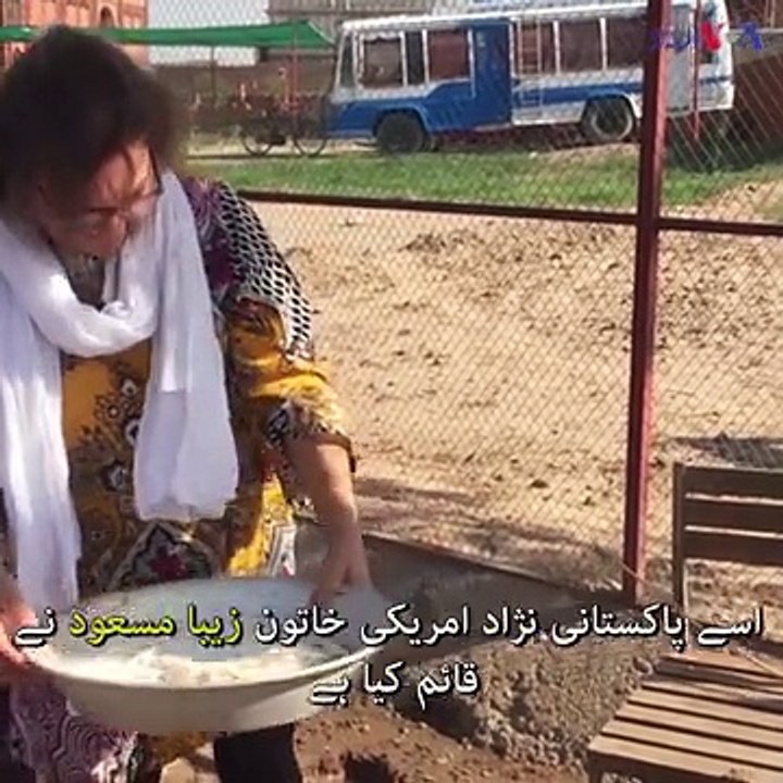 آوارہ کتوں کی فلاح کے لئے شیلٹر