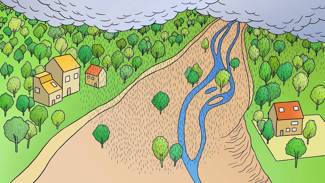 Rivers in good health