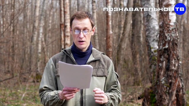 Каменные СУПЕРтопоры Исторического музея (Познавательное ТВ, Артём Войтенков)