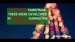 5 facts about Christmas trees