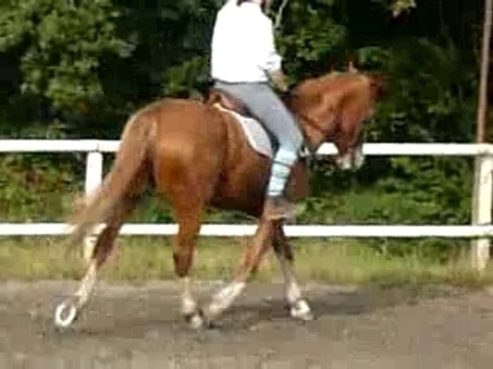 Miloo et Jalaad